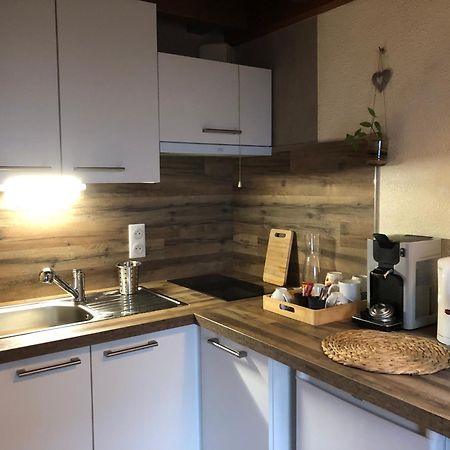 Duplex - Proche De Gerardmer لو ثولي المظهر الخارجي الصورة