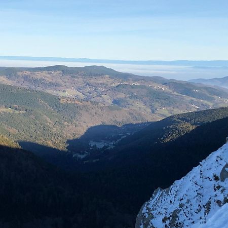 Duplex - Proche De Gerardmer لو ثولي المظهر الخارجي الصورة