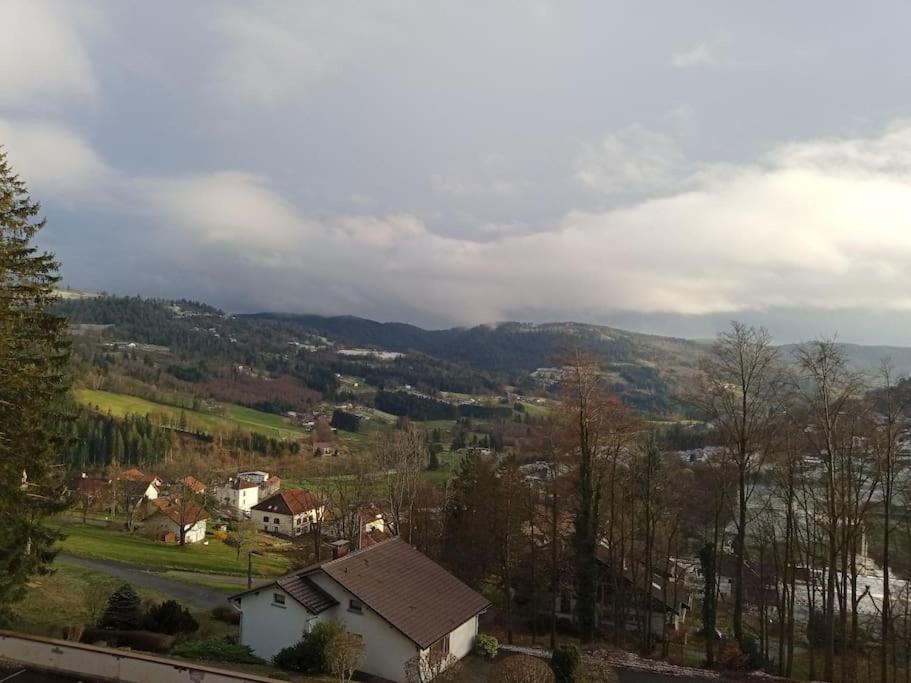 Duplex - Proche De Gerardmer لو ثولي المظهر الخارجي الصورة