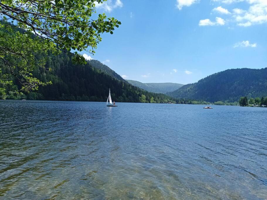 Duplex - Proche De Gerardmer لو ثولي المظهر الخارجي الصورة