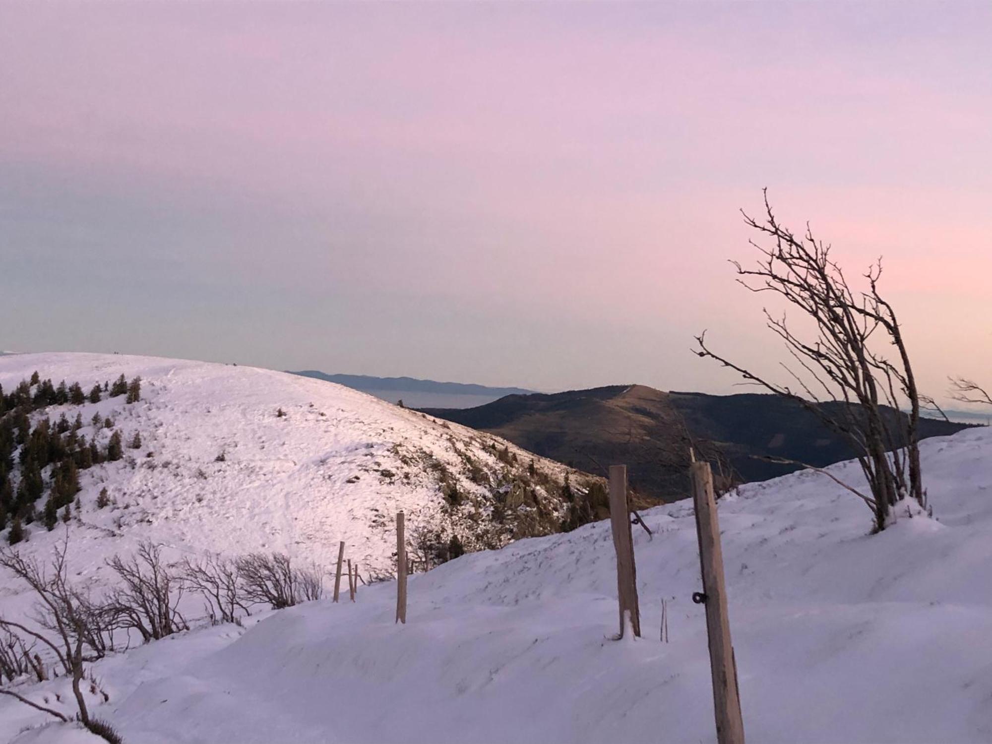 Duplex - Proche De Gerardmer لو ثولي المظهر الخارجي الصورة