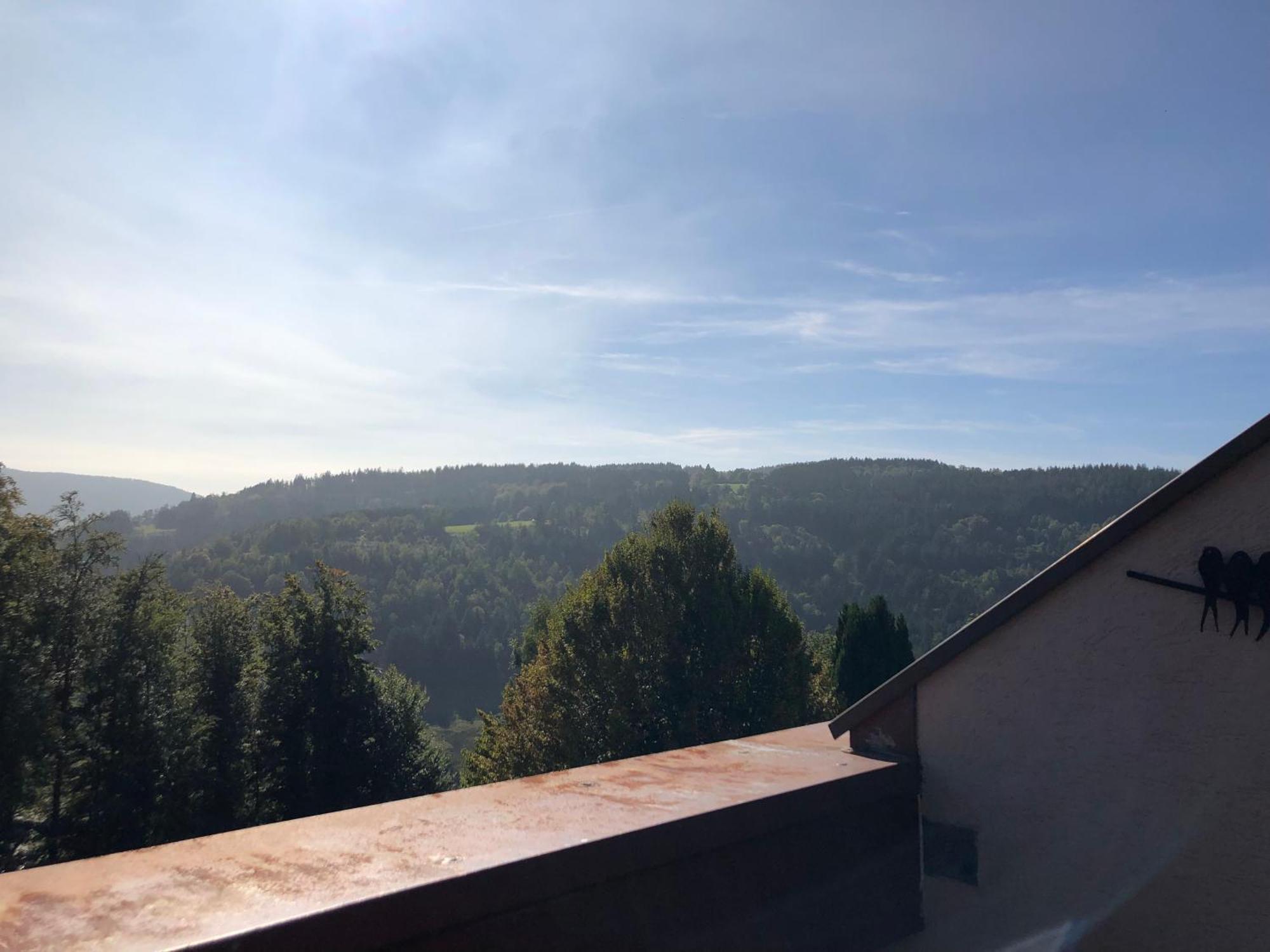 Duplex - Proche De Gerardmer لو ثولي المظهر الخارجي الصورة